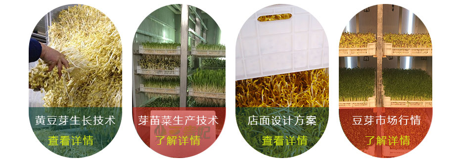 1640093920101759.jpg cc_03.jpg