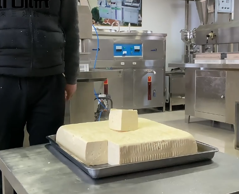 豆腐機做出來的豆腐 豆腐機做出來的豆腐