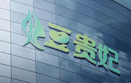 豆貴妃豆腐機(jī) 豆貴妃豆腐機(jī)