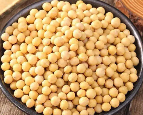 豆皮機(jī)市場應(yīng)該怎么走 豆皮機(jī)市場應(yīng)該怎么走