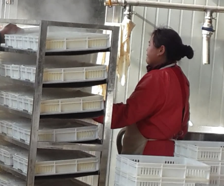 多功能豆腐機制作石膏豆腐