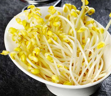 豆芽機生長的豆芽 豆芽機生長的豆芽