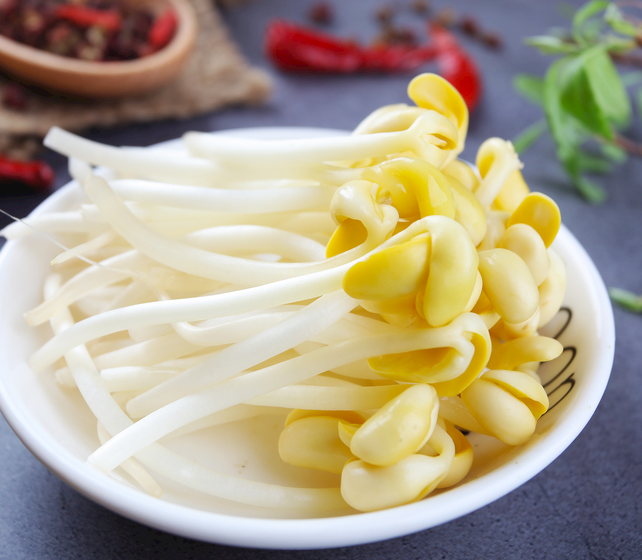 無公害豆芽機怎么育芽 無公害豆芽機怎么育芽