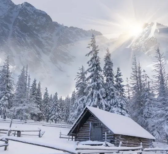 冬天用豆腐機(jī)做豆腐怎么樣 冬天用豆腐機(jī)做豆腐怎么樣