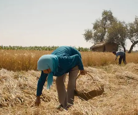 老鐵用豆腐機創業