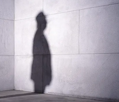 干豆腐機 干豆腐機