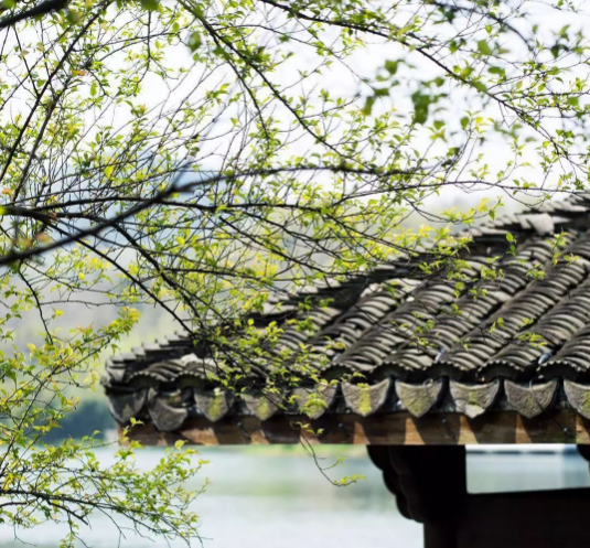 春風四月豆腐機 春風四月豆腐機