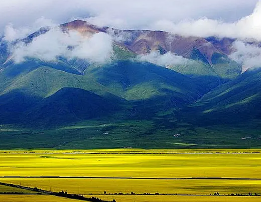 青海豆皮機(jī) 青海豆皮機(jī)
