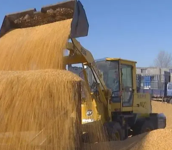 1690245772111336.png image.png