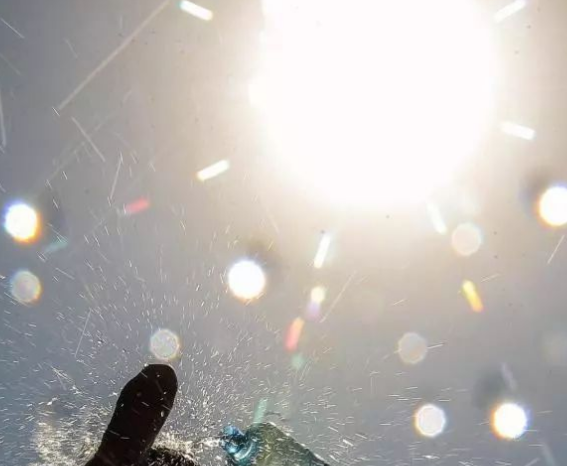 1690526799944375.png image.png