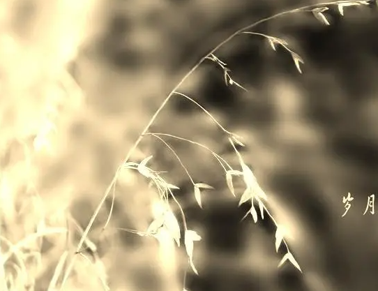 1712795742113001.png image.png