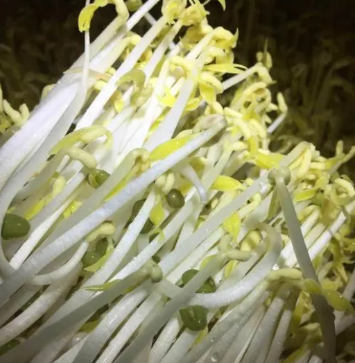 1724543398855902.png image.png