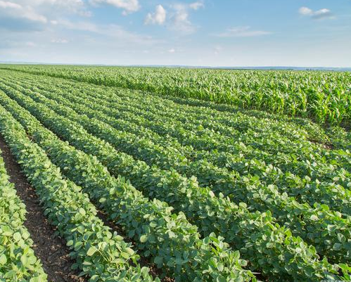 1726706135545686.png image.png