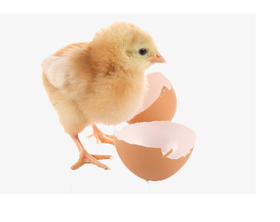 1727135333141230.png image.png