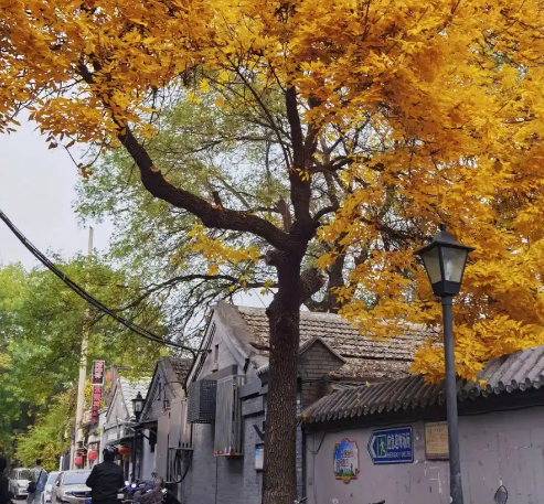 1729817290504332.png image.png