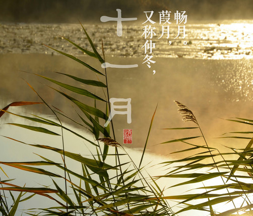 1730706531107359.png image.png