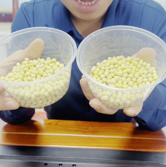 選什么樣的黃豆做豆腐 選什么樣的黃豆做豆腐