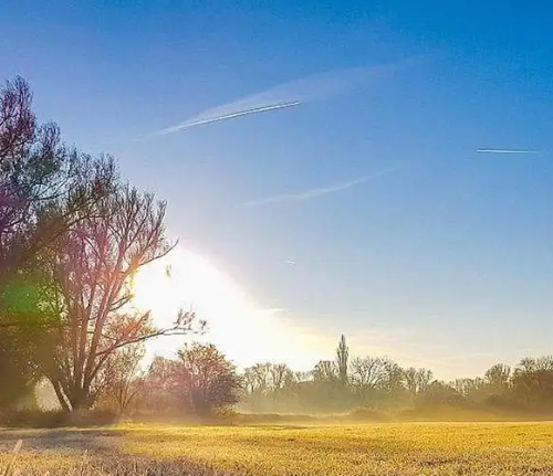 1741139069801923.png image.png