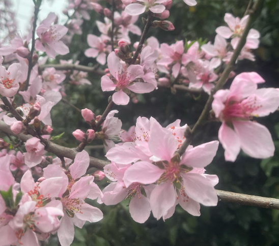 1742691577160475.png image.png